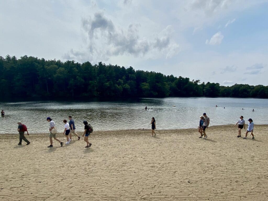 staff walking along a beach